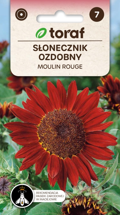 slonecznik-moulin-rouge-nasiona.jpg