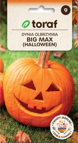 dynia-big-max-nasiona-warzyw-4g.jpg