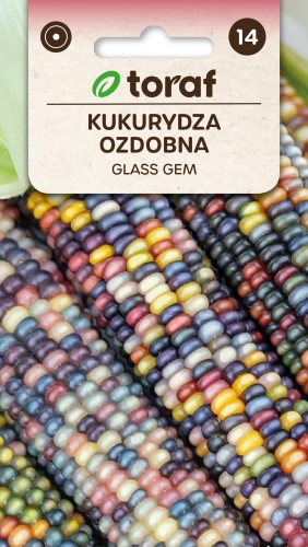 kukurydza-ozdobna-glass-gem-nasiona-kwiatow.jpg