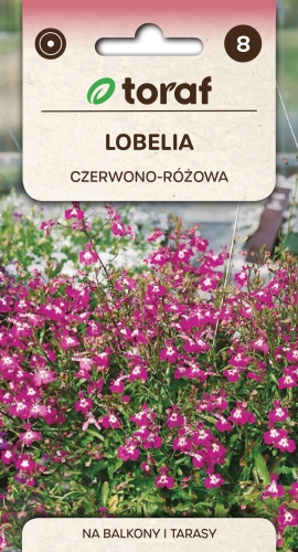 lobelia-czerwona-rosamond-nasiona.jpg