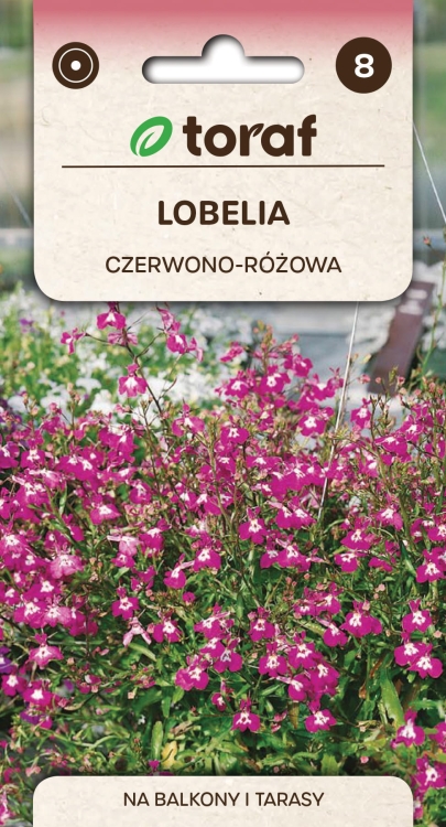 lobelia-czerwona-rosamond-nasiona.jpg