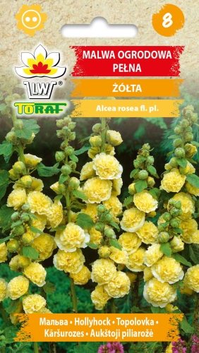 malwa-ogrodowa-pelna-zolta-nasiona.jpg