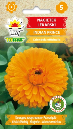 nagietek-indian-prince-nasiona-kwiatow.jpg