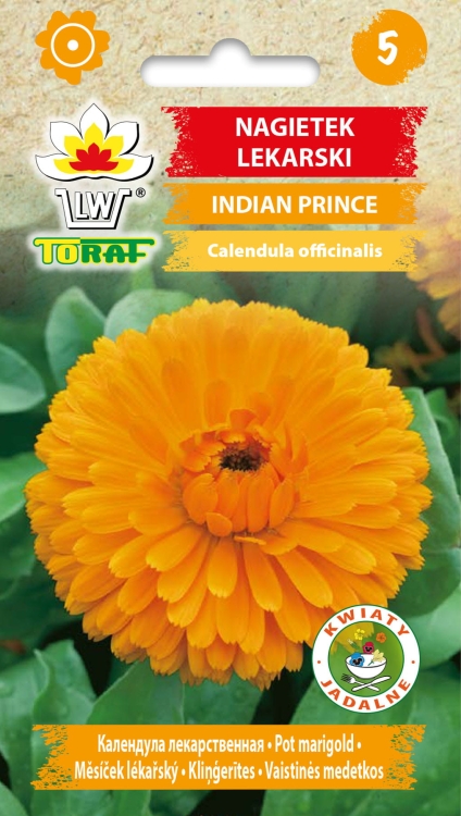 nagietek-indian-prince-nasiona-kwiatow.jpg