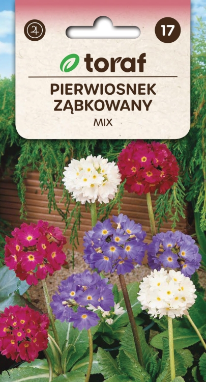 pierwiosnek-zabkowany-nasiona.jpg