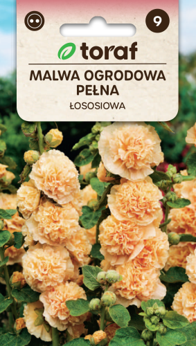 malwa-ogrodowa-lososiowa-nasiona.png
