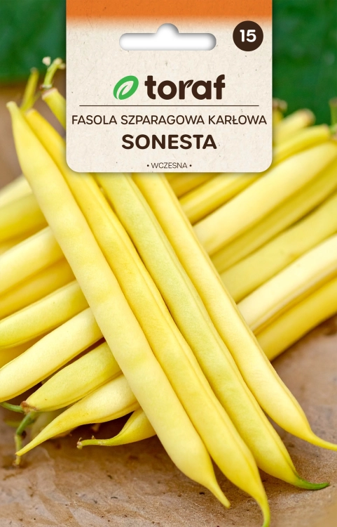 fasola-szparagowa-sonesta-nasiona.jpg