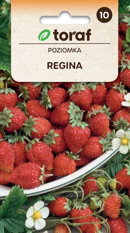 poziomka-regina-nasiona.jpg
