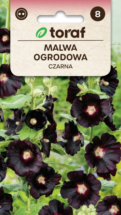 malwa-ogrodowa-nasiona-czarna.jpg