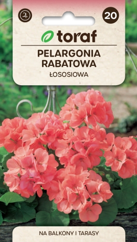 pelargonia-rabatowa-lososiowa-nasiona.jpg
