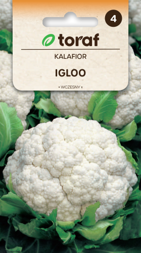 kalafior-igloo-nasiona.png