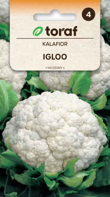 kalafior-igloo-nasiona.png