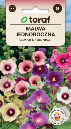 malwa-summer-carnival-nasiona.png