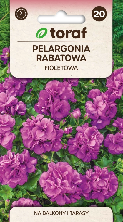 pelargonia-rabatowa-fioletowa-nasiona.png