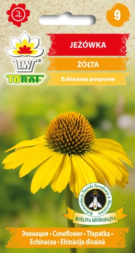 jezowka-zolta-nasiona-kwiaty.jpg