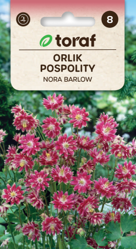 orlik-nora-barlow-nasiona.png