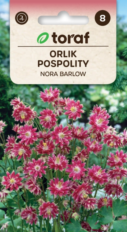 orlik-nora-barlow-nasiona.png