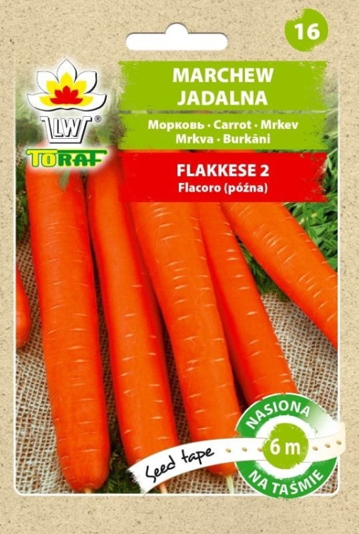 marchew-flakkese-nasiona-na-tasmie-6m.jpg