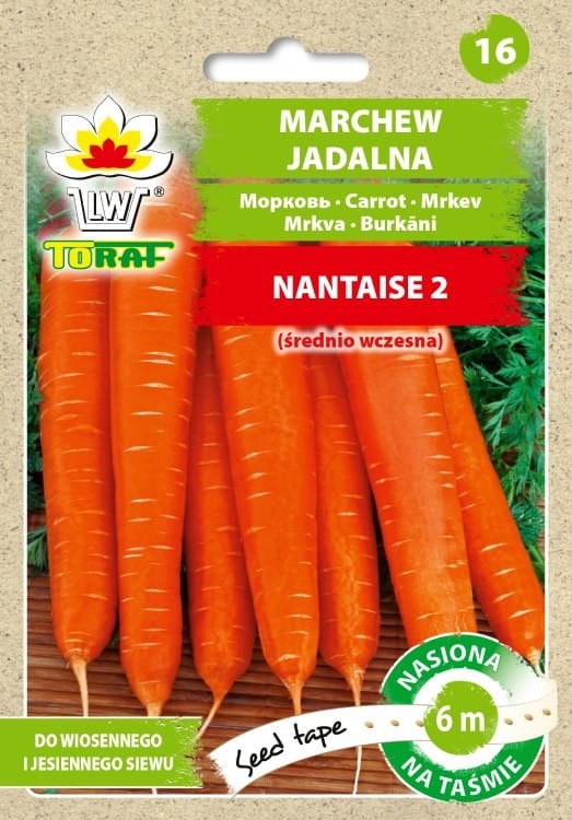 marchew-nantaise-nasiona-na-tasmie-6m.jpg