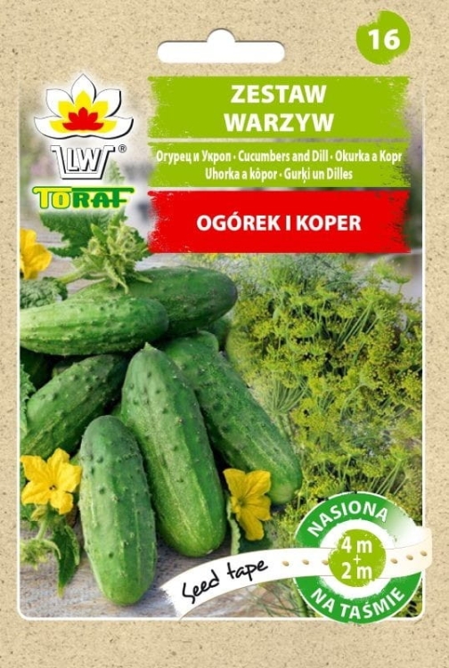 ogorek-koper-krezus-nasiona-na-tasmie-6m.jpg