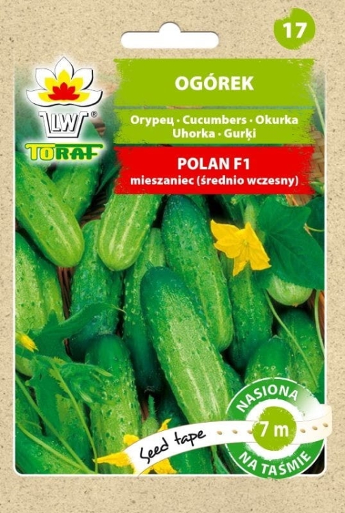 ogorek-polan-nasiona-na-tasmie-6m.jpg