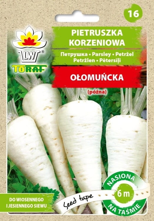 pietruszka-olomuncka-nasiona-na-tasmie-6m.jpg