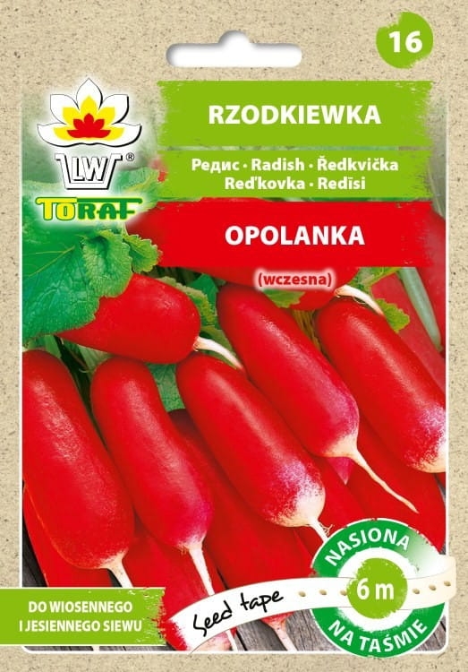 rzodkiewka-opolanka-nasiona-na-tasmie-6m.jpg