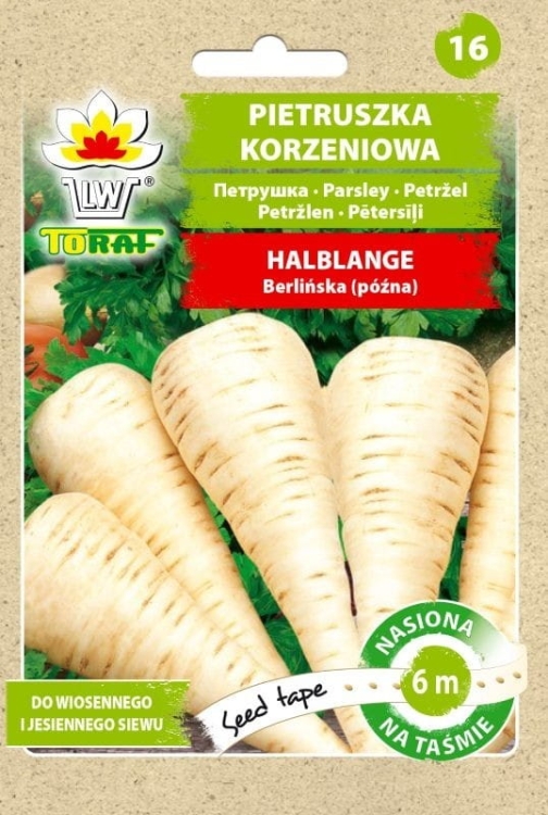 pietruszka-halblange-nasiona-na-tasmie-6m.jpg