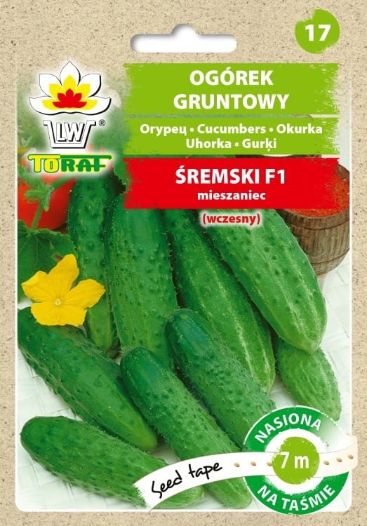 ogorek-sremski-nasiona-na-tasmie-6m.jpg