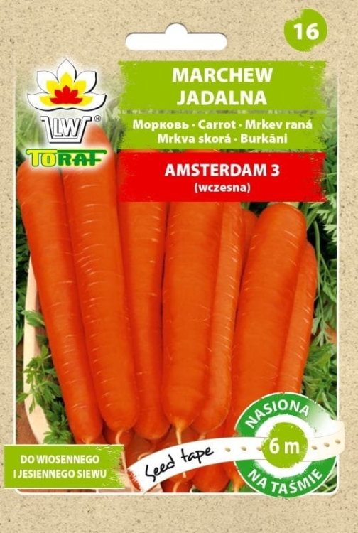 marchew-amsterdam-nasiona-na-tasmie-6m.jpg