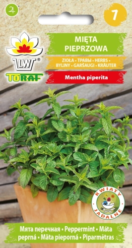 mieta-pieprzowa-nasiona-ziol.jpg