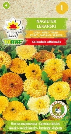 nagietek-lekarski-nasiona-1g.jpg
