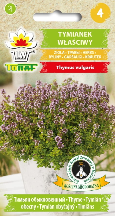 tymianek-wlasciwy-nasiona-ziol.jpg