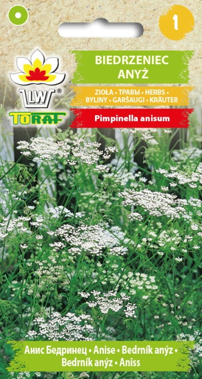 biedrzeniec-anyz-nasiona-ziol.jpg