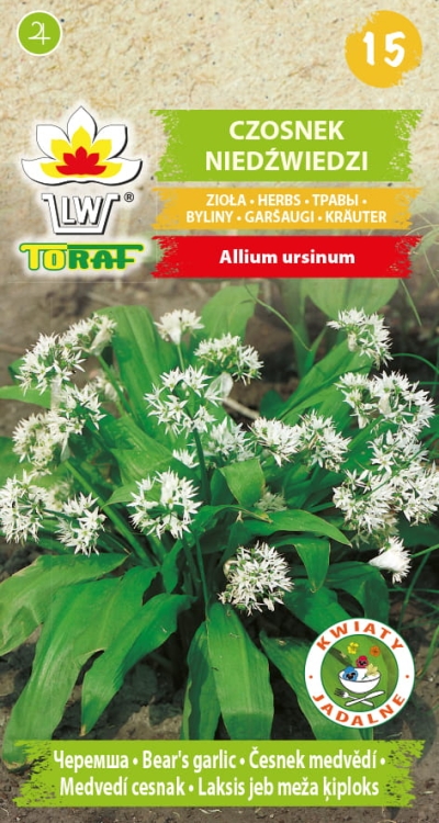 czosnek-niedzwiedzi-nasiona-ziol.jpg