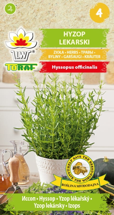 hyzop-lekarski-nasiona-ziol.jpg
