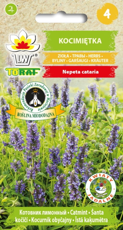 kocimietka-nasiona-ziol.jpg