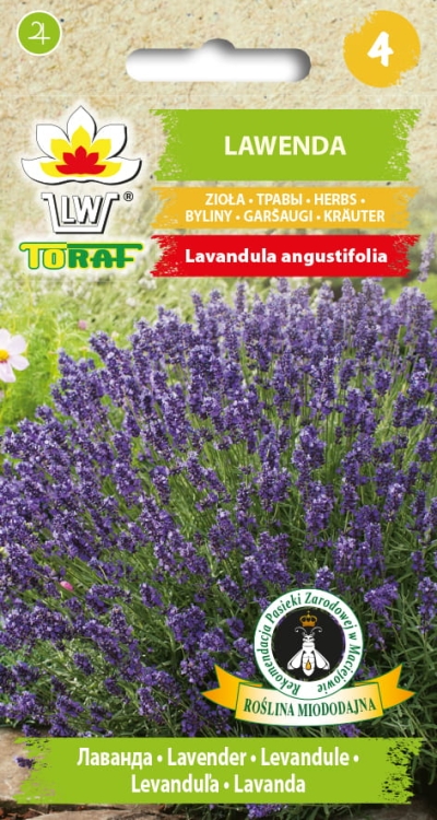 lawenda-nasiona-kwiatow.jpg
