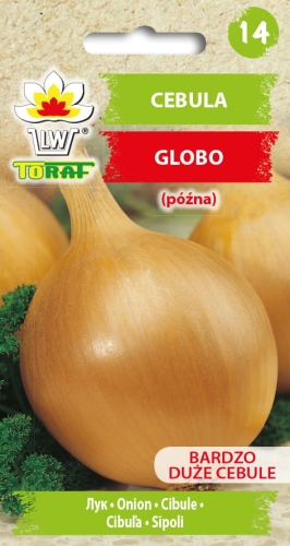 cebula-globo-nasiona-warzyw-2g.jpg