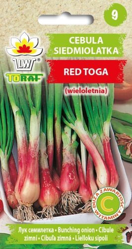 cebula-siedmiolatka-red-toga-nasiona-warzyw-1g.jpg