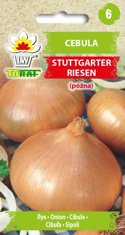 cebula-stuttgarter-riesen-nasiona-warzyw-3g.jpg
