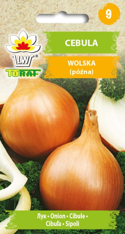 cebula-wolska-nasiona-warzyw-4g.jpg
