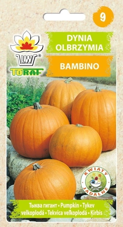 dynia-bambino-nasiona-warzyw-5g.jpg