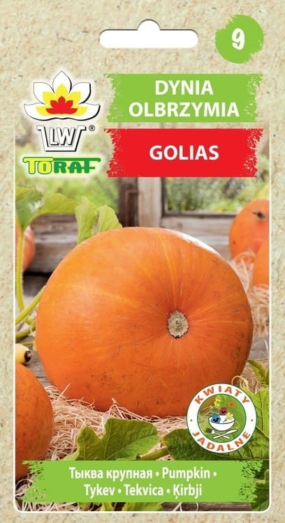 dynia-golias-nasiona-warzyw-4g.jpg