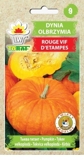 dynia-rouge-vif-detampes-nasiona-warzyw-5g.jpg