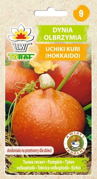 dynia-hokkaido-uchiki-kuri-nasiona-warzyw-5g.jpg