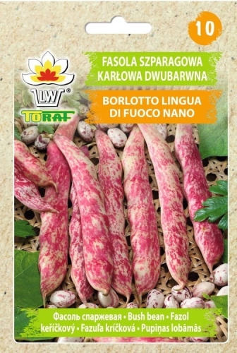 fasola-borlotto-nasiona-warzyw-30g.jpg