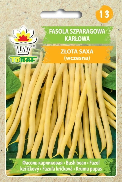 fasola-zlota-saxa-nasiona-warzyw-50g.jpg