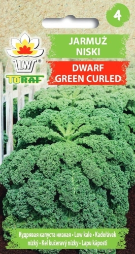 jarmuz-dwarf-nasiona-warzyw-1g.jpg