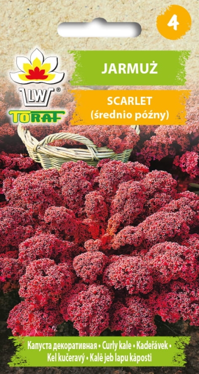jarmuz-scarlet-nasiona-warzyw-1g.jpg